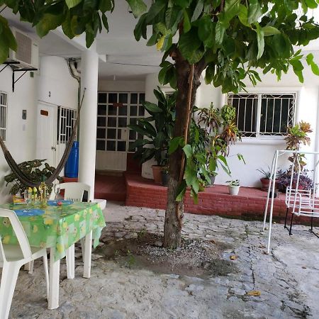Las Palmas Zihuatanejo Exteriör bild